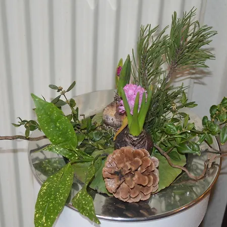 Hotel Naesbylund Odense